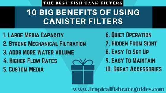 Best Fish Tank Filter- 10 BIG Benefits of using a canister filter