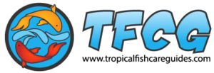 Tropical Fish Care Guides Logo (Transparent Back)