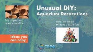 Aquarium decoration ideas you can copy