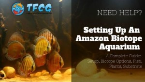 The Amazonian Aquarium Setup, Biotope Options, Fish, Plants, Substrate