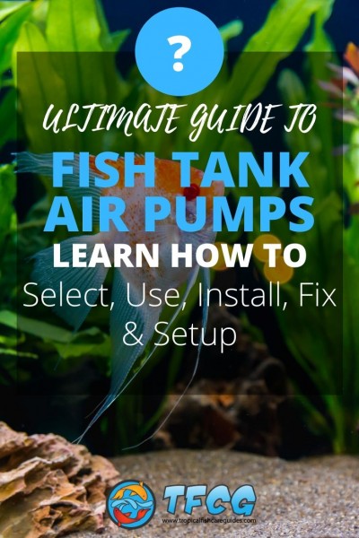 View of Airstone And Pump - The Ultimate Guide To Oxygenating Your Aquarium Fo