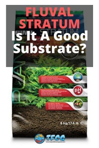 Fluval Stratum Review_ Is It a Good Substrate