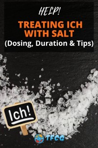 Treating Ich With Salt