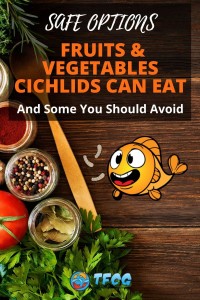 What Fruits & Vegetables Can Cichlids Eat