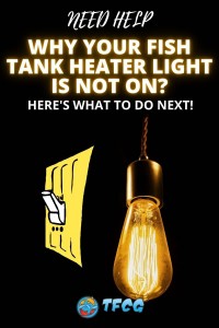 Why Your Fish Tank Heater Light Is Not On